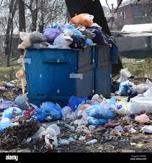 Best Recycling Services for Junk  in Breese, IL